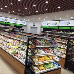 常州個體創業新選擇 加盟怡佳仁休閑食品連鎖店的機遇與關鍵